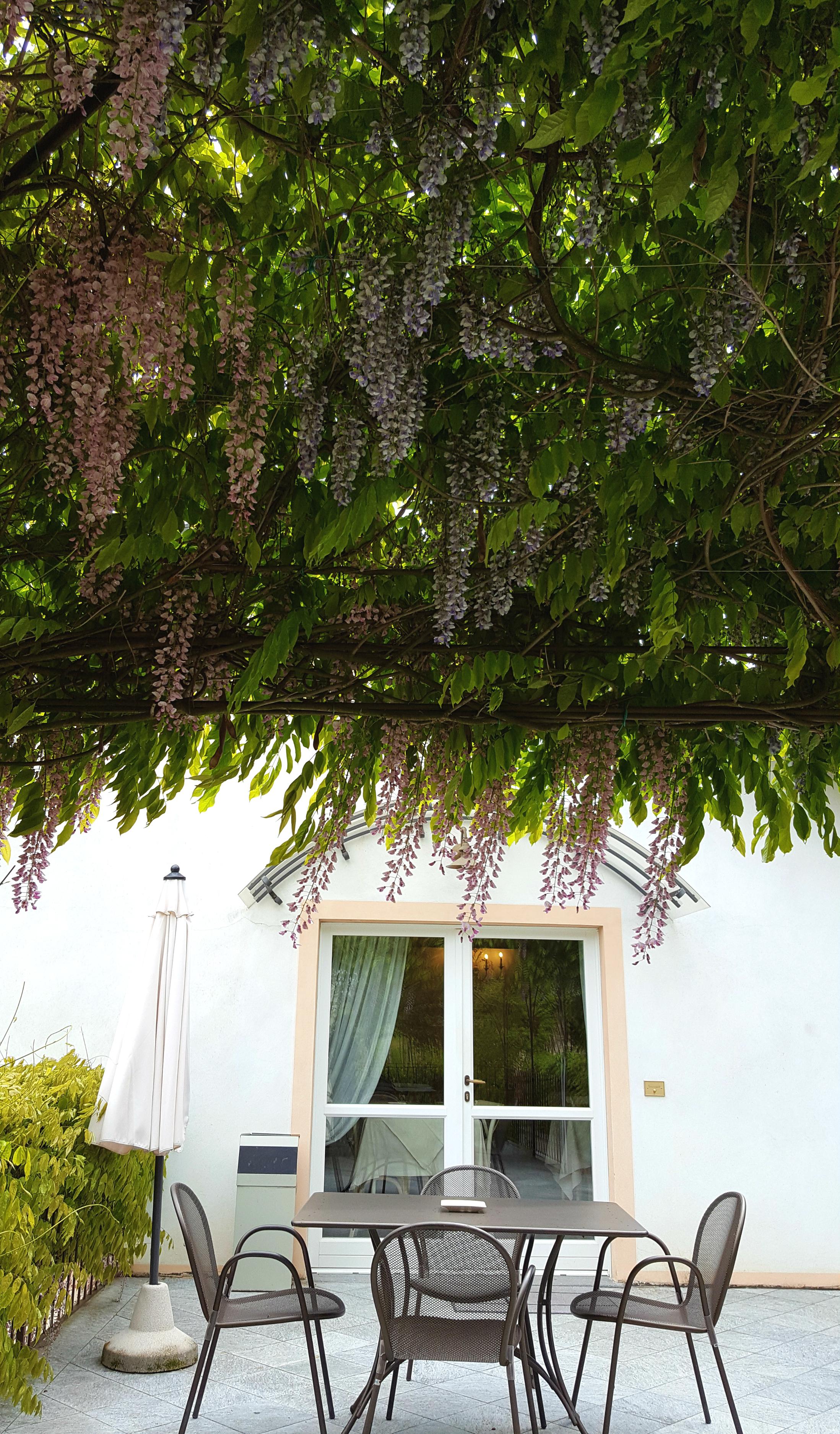 Marcarini Agriturismo Neviglie ภายนอก รูปภาพ
